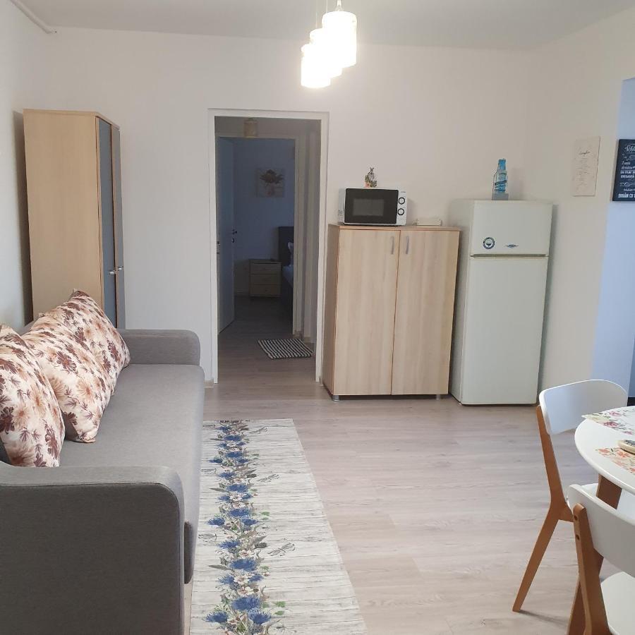 Sendy Apartment Orşova Екстериор снимка